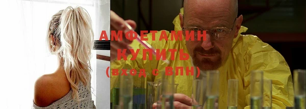 мдпв Ладушкин