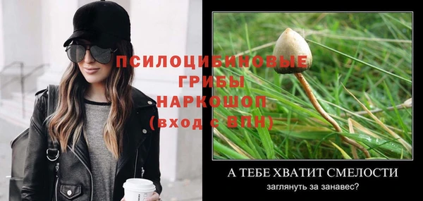 мдпв Ладушкин