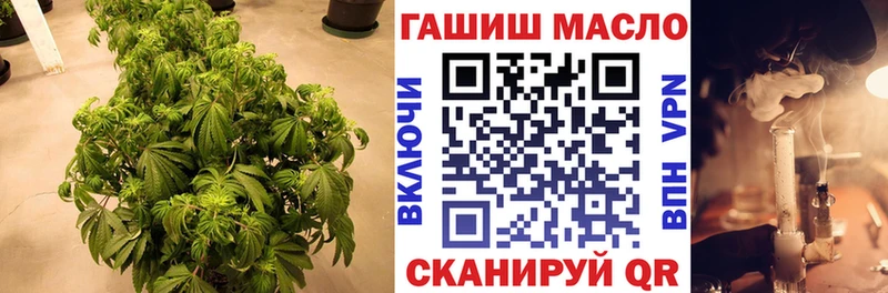 ТГК THC oil Вязьма